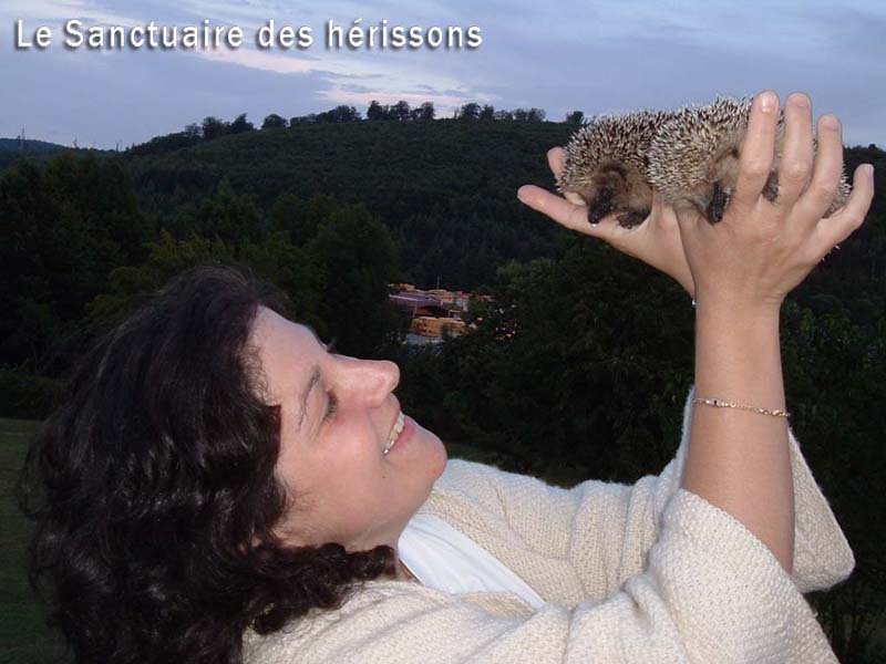 dscf1036(michelhenry)