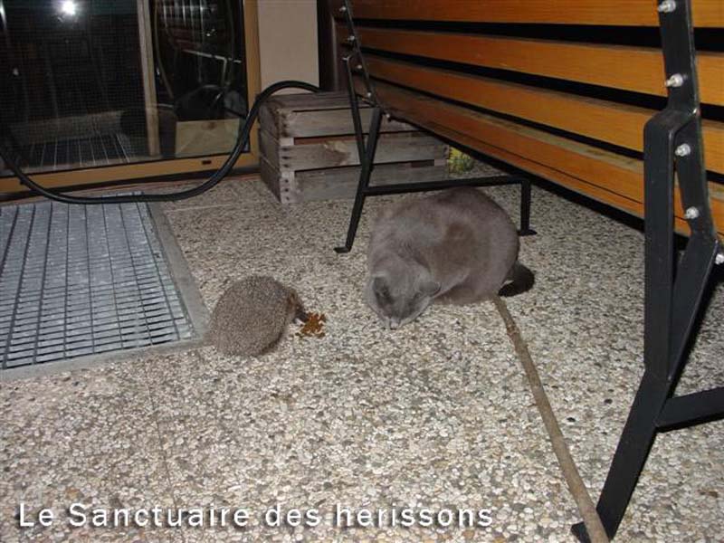 zebuloneteliot(jacques)